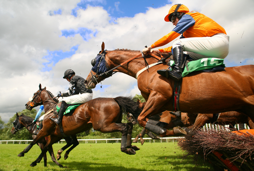 5 Reasons Why You Should Try Online Horse Race Betting