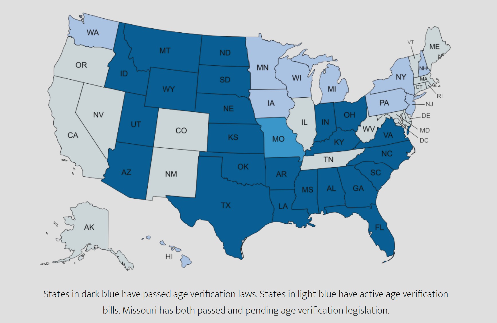 Age Verification – It’s Not About The Kids, It’s Your Internet ID, Don’t Be Fooled