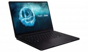 Asus ProArt GoPro Edition (PX13)